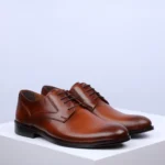 Muške Cipele 2457 braon